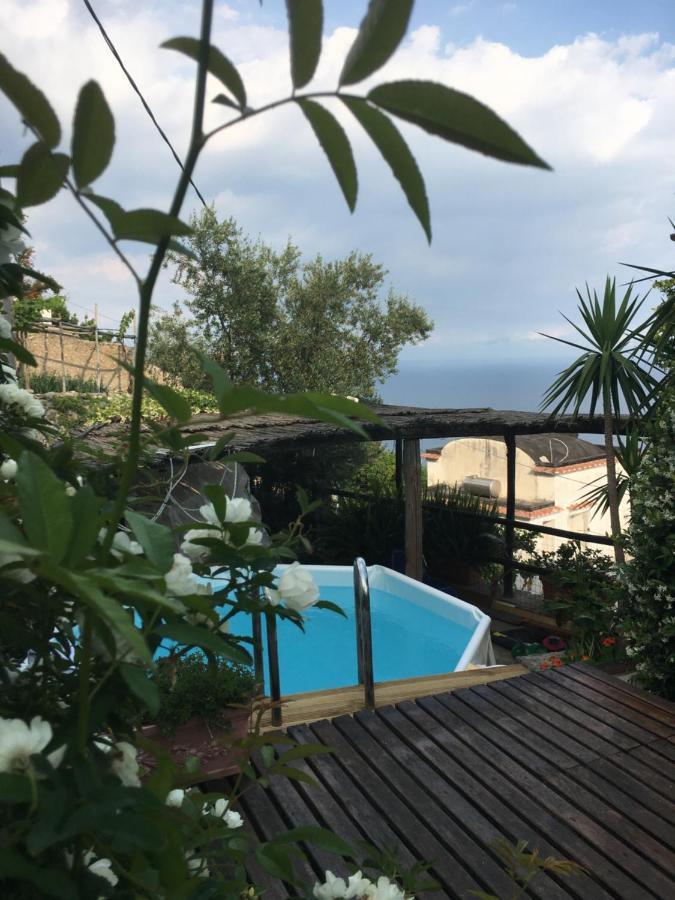 Blue Dream - Amalfi Coast Villa Conca dei Marini Eksteriør bilde